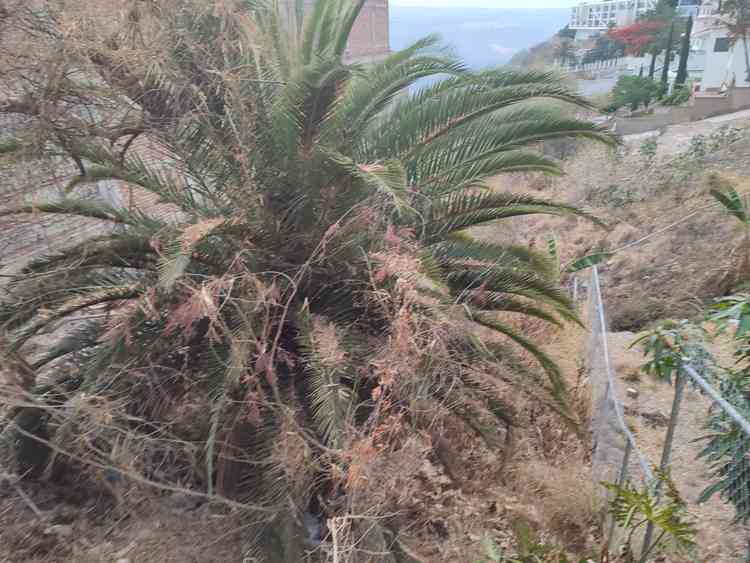 terreno en venta volcan toliman huentitan el bajo guadalajara jalisco prfTdPo